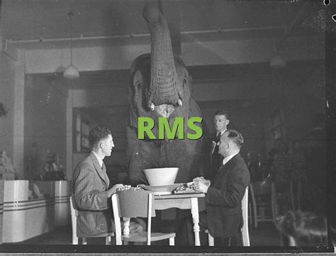 rms meaning slang|RMS .